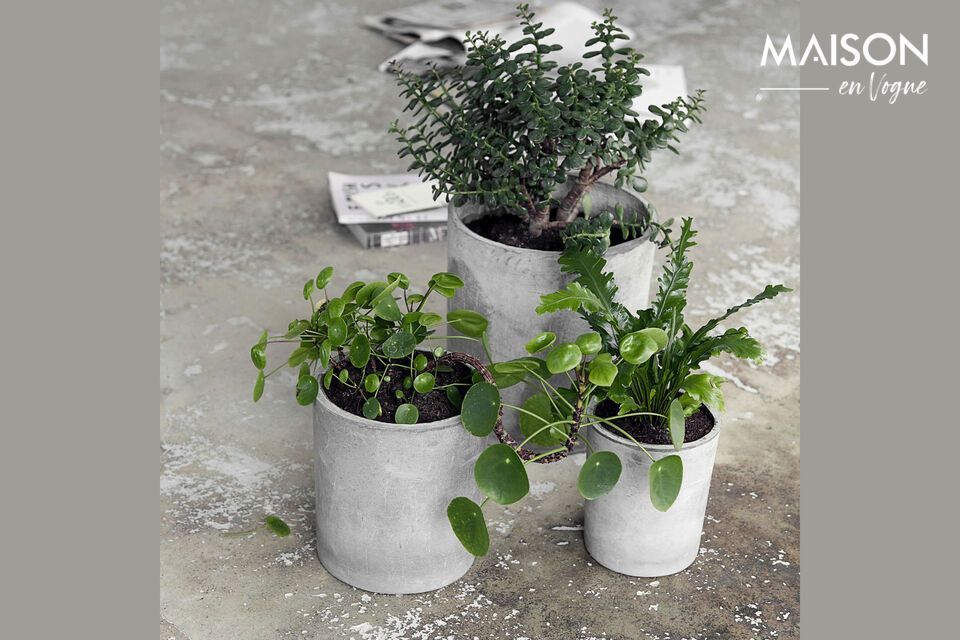 Discover minimalism and sturdiness combined in our light gray cement planter