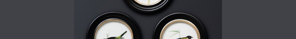 Material Details Set of 3 round black wooden frames, colored