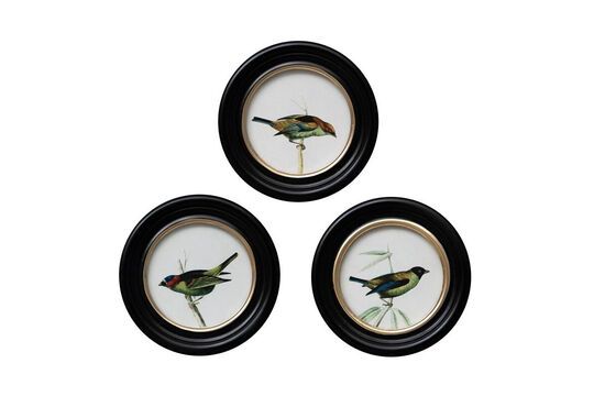 Set of 3 round black wooden frames, colored Clipped