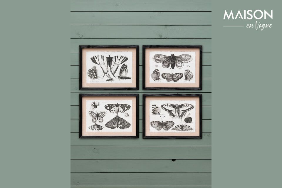 Set of 4 black wooden frames Butterflies Chehoma