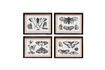 Miniature Set of 4 black wooden frames Butterflies 6