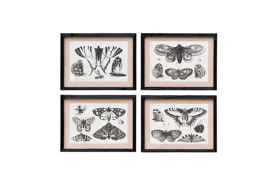 Set of 4 black wooden frames Butterflies