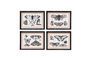 Miniature Set of 4 black wooden frames Butterflies Clipped