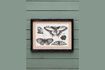 Miniature Set of 4 black wooden frames Butterflies 2