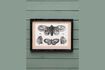 Miniature Set of 4 black wooden frames Butterflies 3