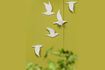 Miniature Set of 5 Biscuit white porcelain bird wall decorations 2