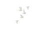 Miniature Set of 5 Biscuit white porcelain bird wall decorations Clipped