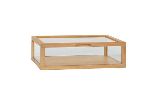 Small clear glass View box