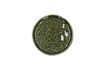 Miniature Spiro dark green stoneware plate 4