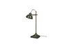 Miniature Table lamp in green iron Todd 1