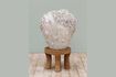 Miniature Teral white terracotta planter 2