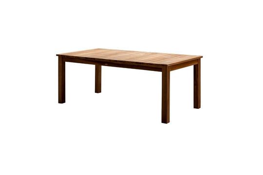 Tirama beige teak dining table Clipped