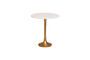 Miniature Tulipa white and gold marble side table Clipped