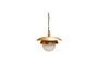 Miniature Wauw gold metal suspension Clipped