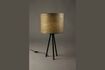 Miniature Woodland table lamp 2